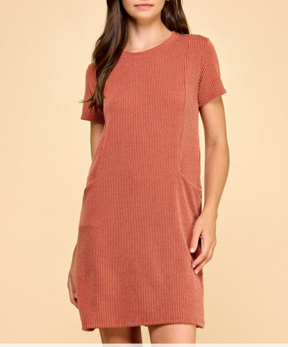 Women Dress/Brick-D1801