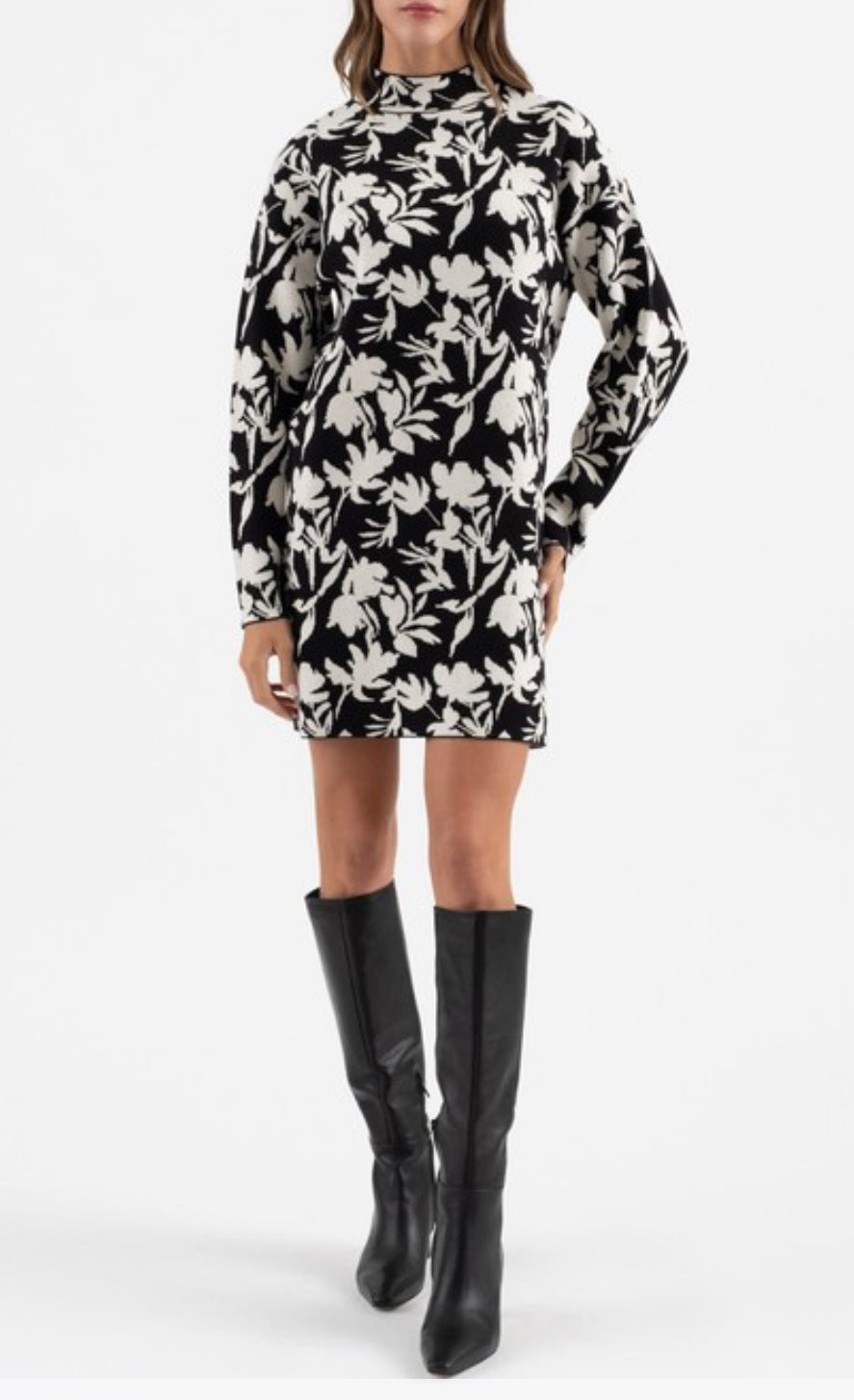 Women Dress/Black-CR2366