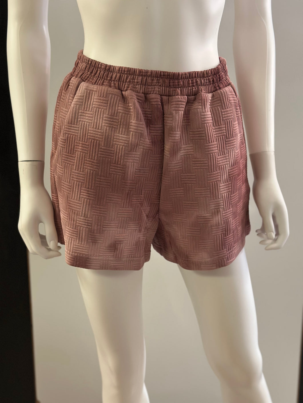 Women Shorts/Mauve-NT11780